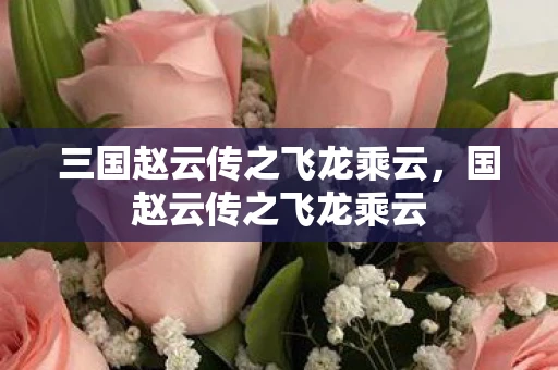 三国赵云传之飞龙乘云，国赵云传之飞龙乘云