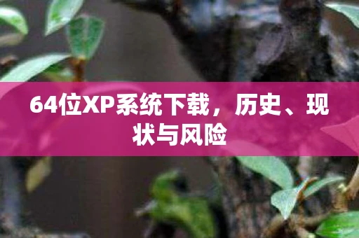 64位XP系统下载，历史、现状与风险