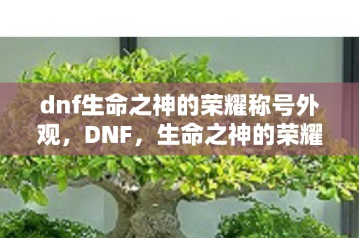 dnf生命之神的荣耀称号外观，DNF，生命之神的荣耀