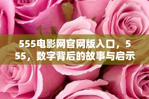 555电影网官网版入口，555，数字背后的故事与启示