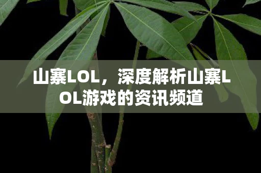 深度解析山寨LOL游戏的资讯频道图片