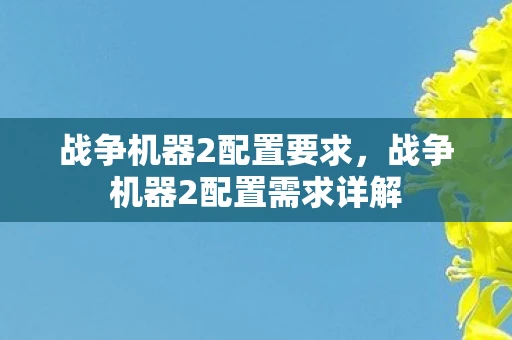 战争机器2配置要求，战争机器2配置需求详解