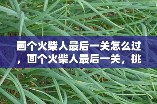 画个火柴人最后一关怎么过，画个火柴人最后一关，挑战与解谜的终极之旅