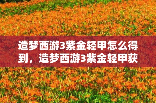 造梦西游3紫金轻甲怎么得到，造梦西游3紫金轻甲获取攻略