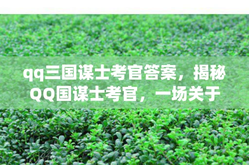 qq三国谋士考官答案，揭秘QQ国谋士考官，一场关于智慧与策略的较量