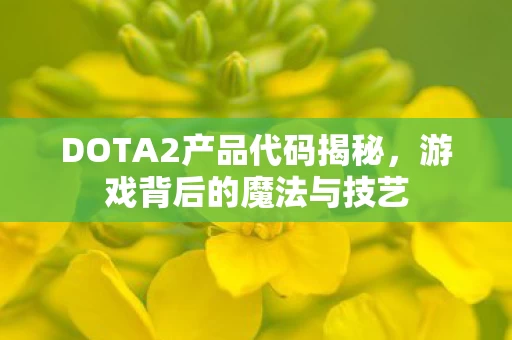 DOTA2产品代码揭秘图片