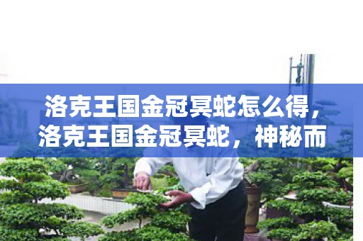 洛克王国金冠冥蛇怎么得,洛克王国金冠冥蛇,神秘而强大的守护者 洛克王国金冠冥蛇怎么得,洛克王国金冠冥蛇,神秘而强大的守护者