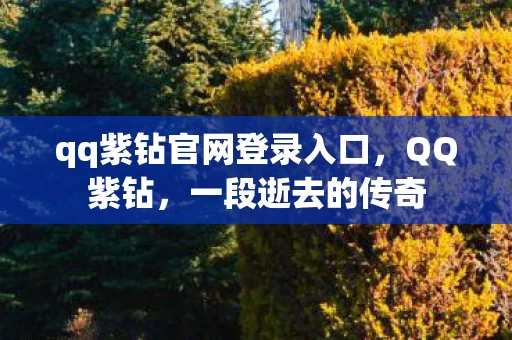 qq紫钻官网登录入口图片