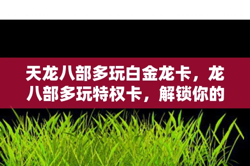 天龙八部多玩白金龙卡，龙八部多玩特权卡，解锁你的游戏新体验