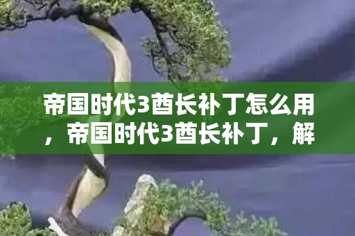 帝国时代3酋长补丁怎么用，帝国时代3酋长补丁，解锁全新游戏体验