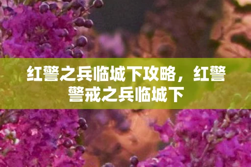 红警之兵临城下攻略,红警警戒之兵临城下 红警之兵临城下攻略,红警警戒之兵临城下