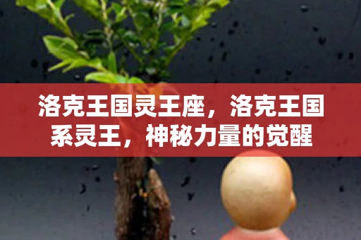 洛克王国灵王座，洛克王国系灵王，神秘力量的觉醒