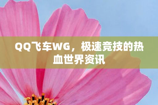 极速竞技的热血世界资讯图片