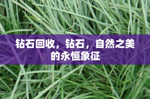 钻石回收，钻石，自然之美的永恒象征