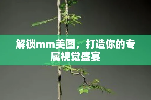 解锁mm美图，打造你的专属视觉盛宴