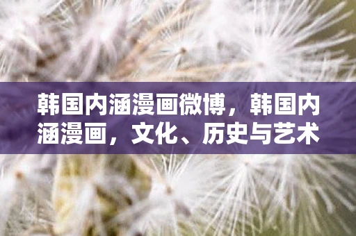 韩国内涵漫画微博，韩国内涵漫画，文化、历史与艺术的独特展现