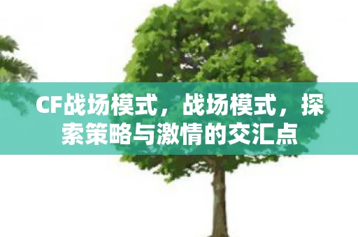 CF战场模式，战场模式，探索策略与激情的交汇点
