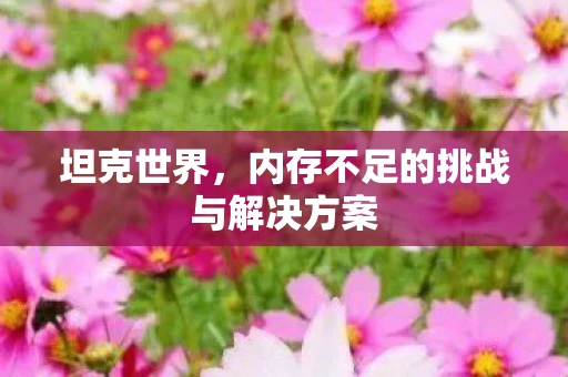 坦克世界，内存不足的挑战与解决方案