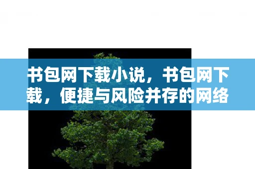 书包网下载小说，书包网下载，便捷与风险并存的网络资源获取方式