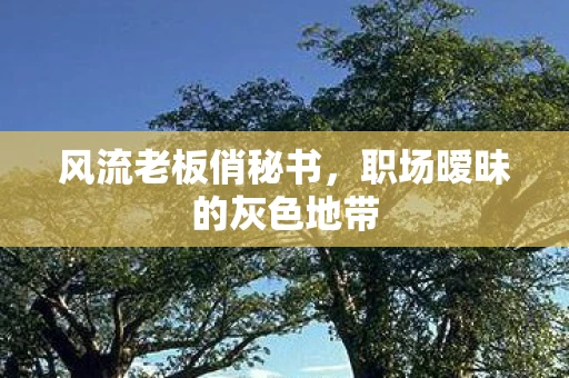 风流老板俏秘书，职场暧昧的灰色地带