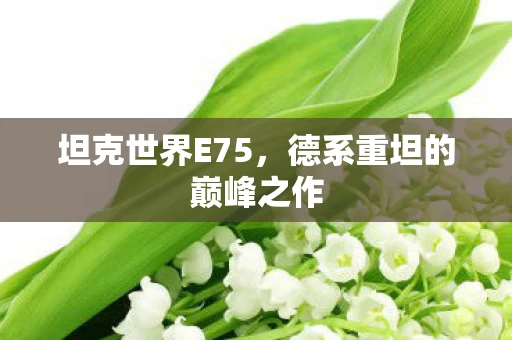 坦克世界E75，德系重坦的巅峰之作