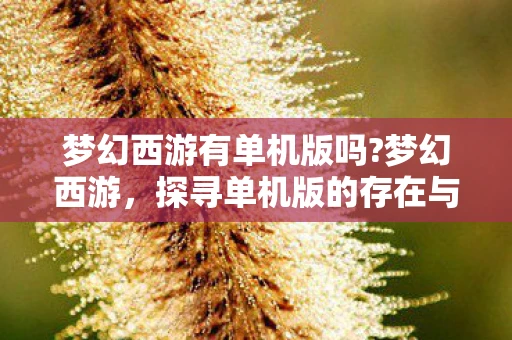 梦幻西游有单机版吗?梦幻西游，探寻单机版的存在与魅力