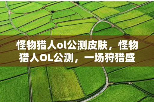 怪物猎人ol公测皮肤，怪物猎人OL公测，一场狩猎盛宴的开启