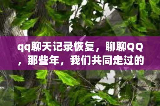 qq聊天记录恢复，聊聊QQ，那些年，我们共同走过的青春
