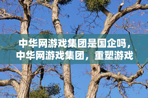 中华网游戏集团是国企吗，中华网游戏集团，重塑游戏产业生态的领航者