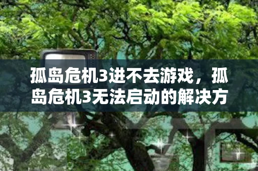 孤岛危机3进不去游戏，孤岛危机3无法启动的解决方法