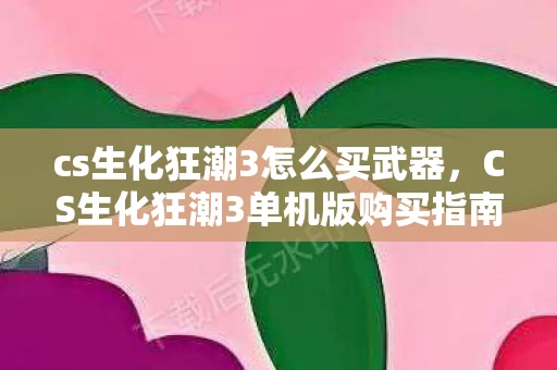 cs生化狂潮3怎么买武器，CS生化狂潮3单机版购买指南