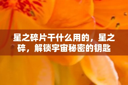 星之碎片干什么用的，星之碎，解锁宇宙秘密的钥匙