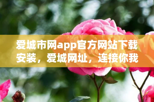 爱城市网app官方网站下载安装，爱城网址，连接你我，共享数字生活的桥梁
