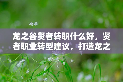 龙之谷贤者转职什么好，贤者职业转型建议，打造龙之谷中的全能战士