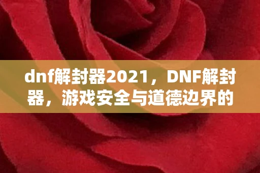 dnf解封器2021，DNF解封器，游戏安全与道德边界的探讨