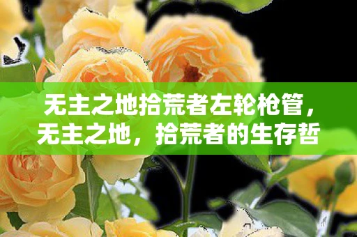 无主之地拾荒者左轮枪管，无主之地，拾荒者的生存哲学