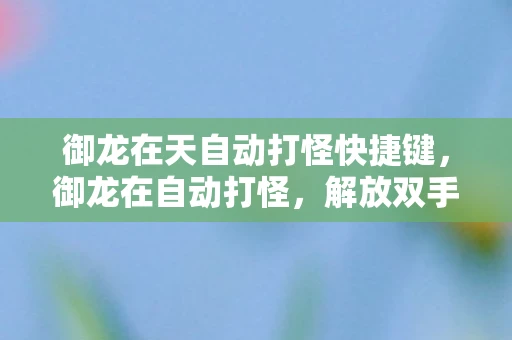 御龙在天自动打怪快捷键，御龙在自动打怪，解放双手，畅游奇幻世界