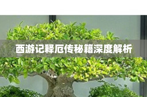西游记释厄传秘籍深度解析图片