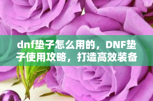 dnf垫子怎么用的，DNF垫子使用攻略，打造高效装备强化必备技巧