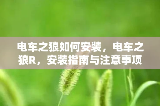 电车之狼如何安装，电车之狼R，安装指南与注意事项