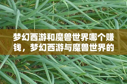 梦幻西游和魔兽世界哪个赚钱，梦幻西游与魔兽世界的跨时空对话