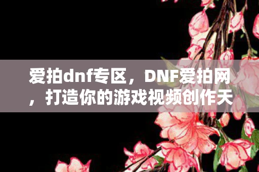 爱拍dnf专区，DNF爱拍网，打造你的游戏视频创作天堂