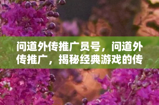 问道外传推广员号，问道外传推广，揭秘经典游戏的传承与革新