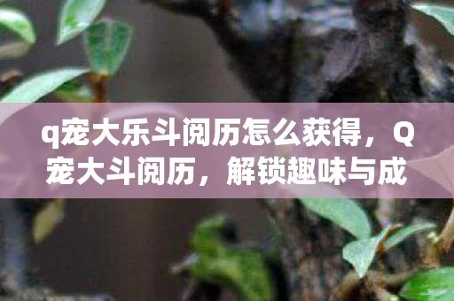 q宠大乐斗阅历怎么获得，Q宠大斗阅历，解锁趣味与成长的神秘钥匙