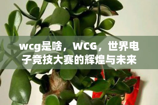 wcg是啥，WCG，世界电子竞技大赛的辉煌与未来