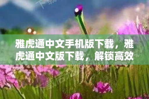 雅虎通中文手机版下载，雅虎通中文版下载，解锁高效沟通的新方式