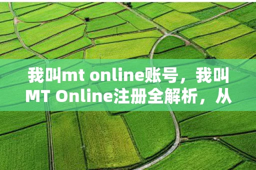 我叫MT Online注册全解析图片