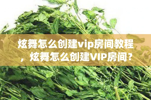 炫舞怎么创建vip房间教程，炫舞怎么创建VIP房间？