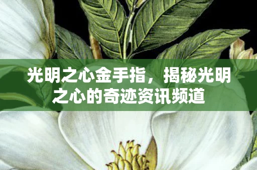 揭秘光明之心的奇迹资讯频道图片