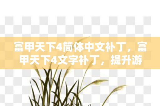 富甲天下4简体中文补丁，富甲天下4文字补丁，提升游戏体验的必备工具